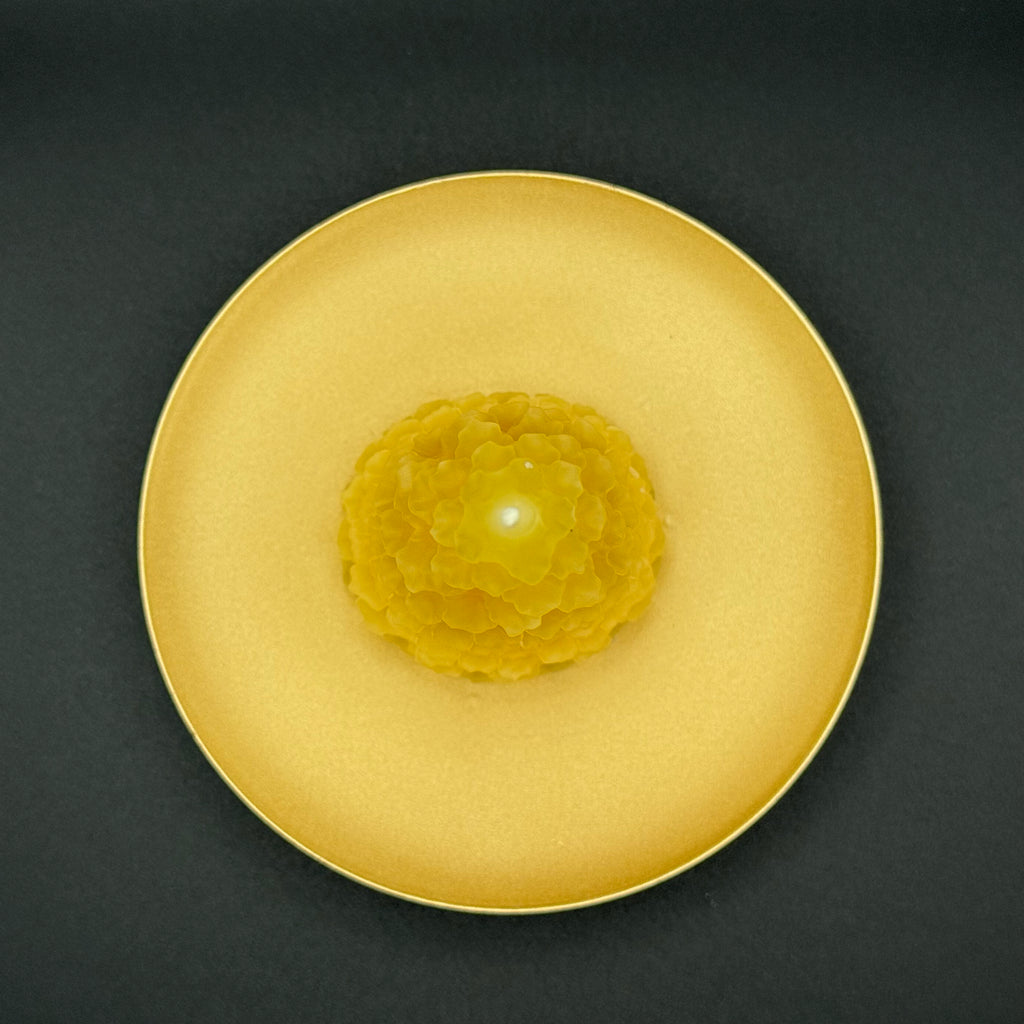 Little Christmas Tree