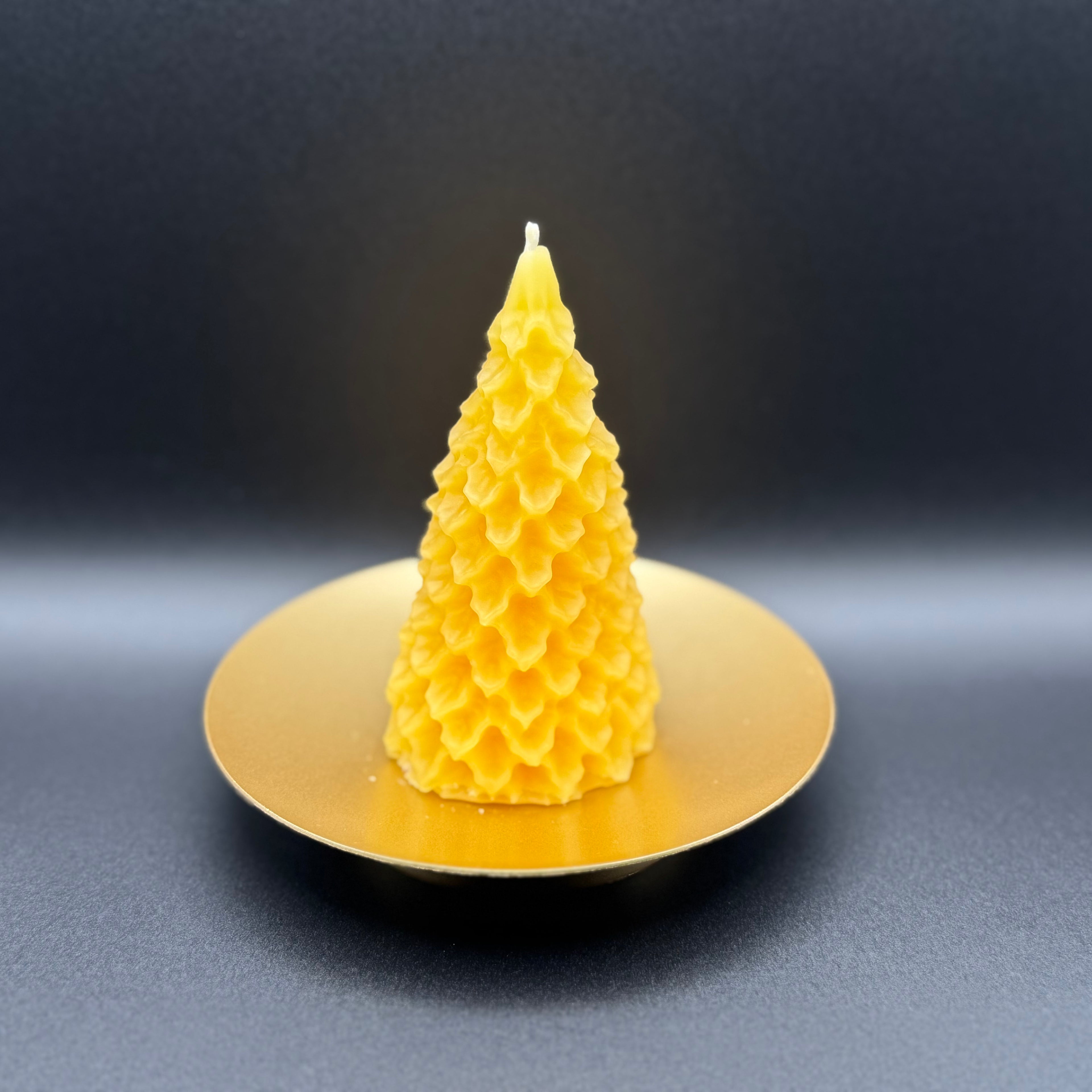 Little Christmas Tree