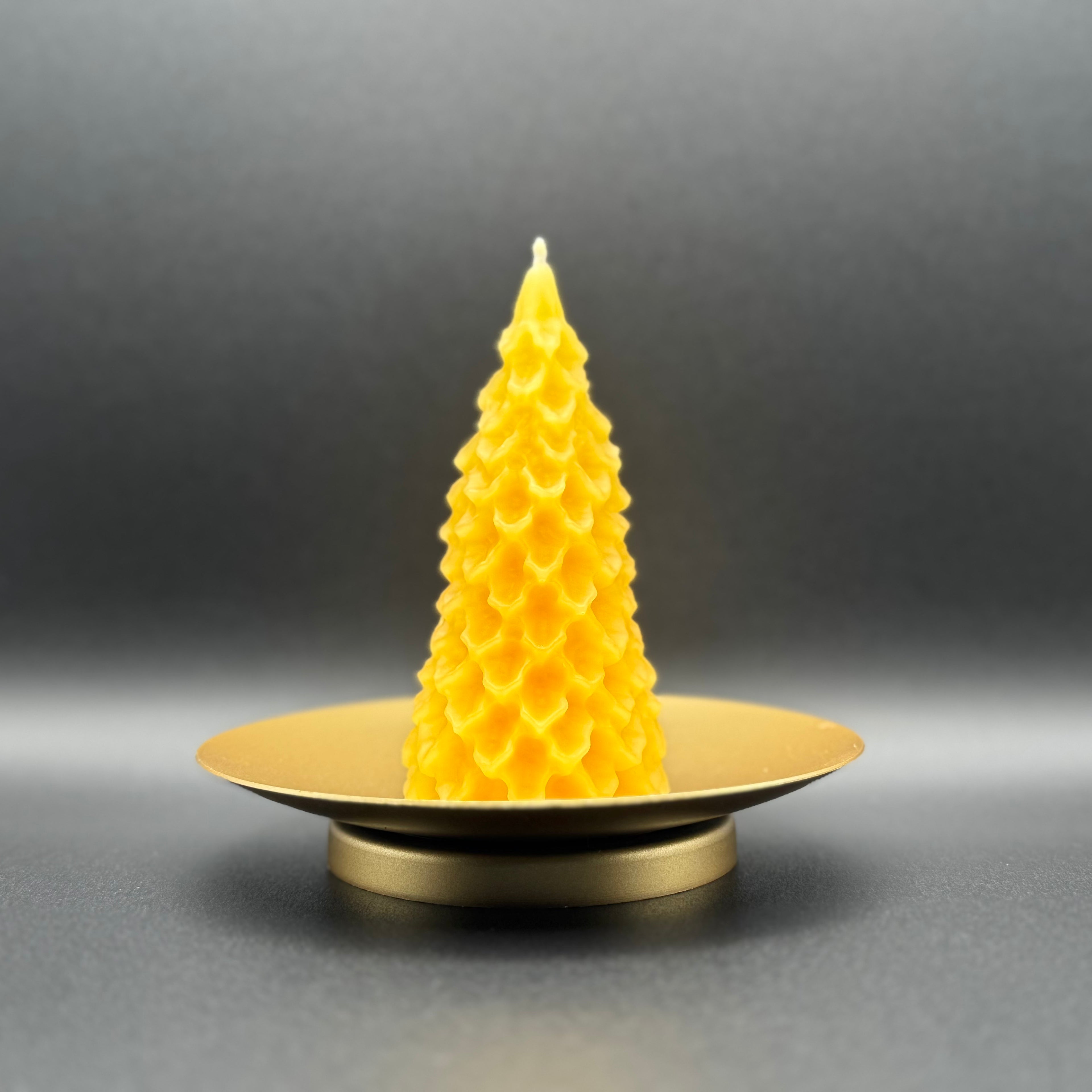 Little Christmas Tree