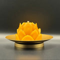 Golden Edge Lotus Beeswax Candle | Unscented, Clean Glow