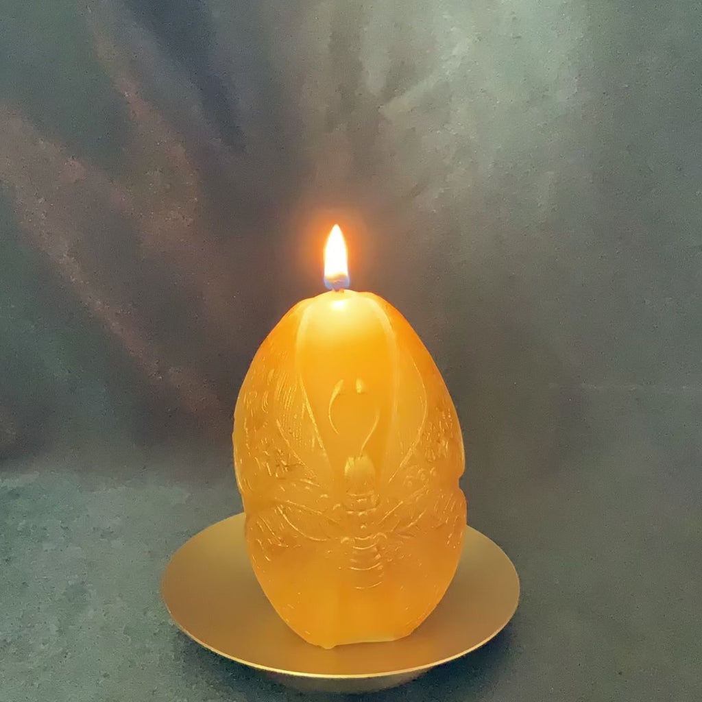 Moth Gathering Beeswax Candle | Unscented, Clean-Burning Glow