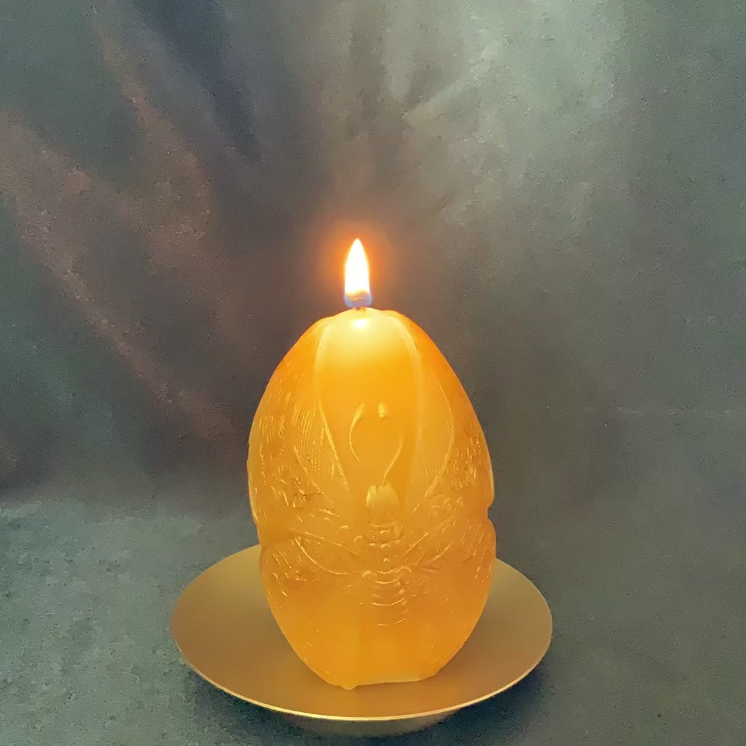 Moth Gathering Beeswax Candle | Unscented, Clean-Burning Glow